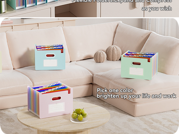 ThinkTex Accordion File Organizer, 12 - Pocket Expanding File Folders