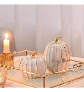 FESTGLOX Fall Pumpkin Decor, 2Pcs Resin Thanksgiving Fake Pumpkin Figurines | White and Gold Pump...