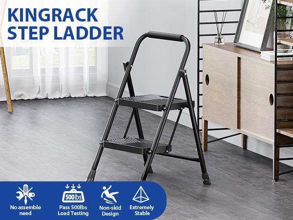 2 Step Ladder