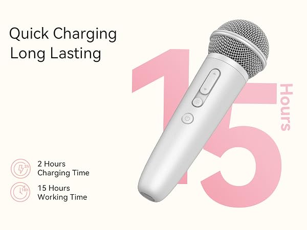 karaoke microphone