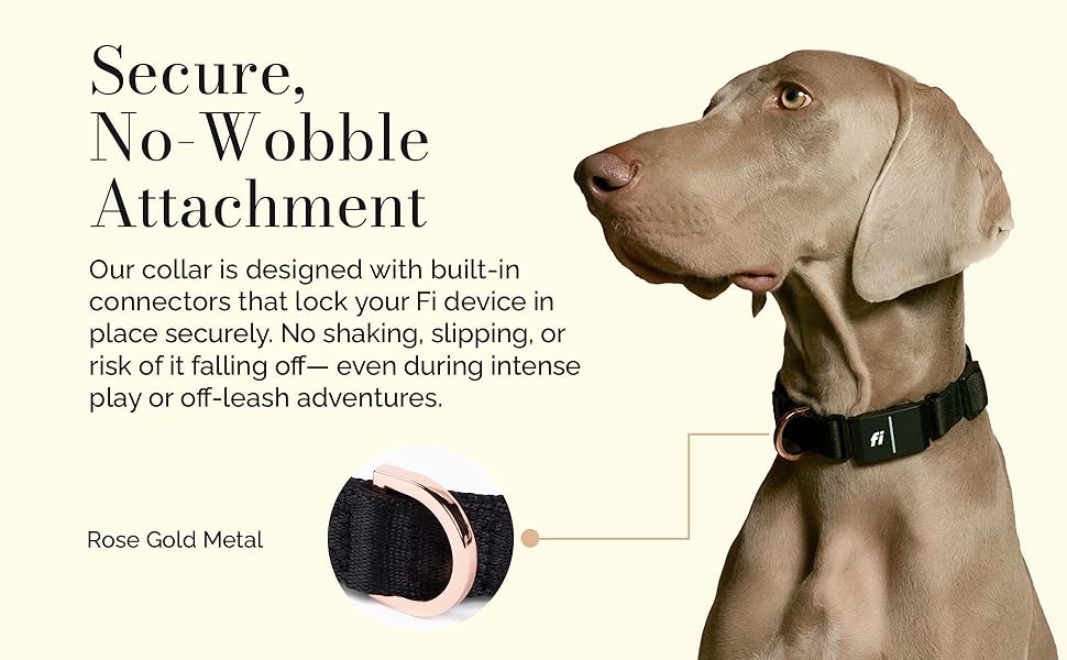 adjustable dogs collar small dog accessories tiny puppy leather pet neck strap cute pink xxsmall xs