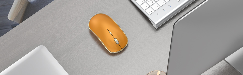 Computer Mice