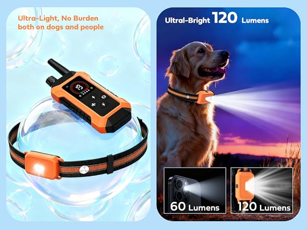 electrical dog collar with remote control
