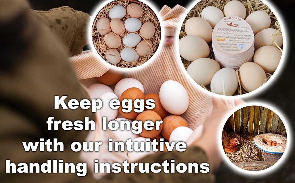 eggs 18 count fresh; egg cartons cheap bulk; egg cartons bulk; egg stamp;