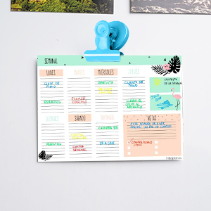 Fridge Magnets