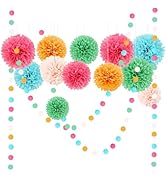 AOBKIAT Rainbow Birthday Decorations for Girls Women,15PCS Colorful Tissue Paper Pom Poms,Paper G...