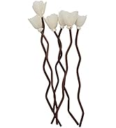 nongcunren 30Pcs Premium Brown Wavy Rattan Reeds add Through Grass Flowers Fragrance Diffuser Sti...