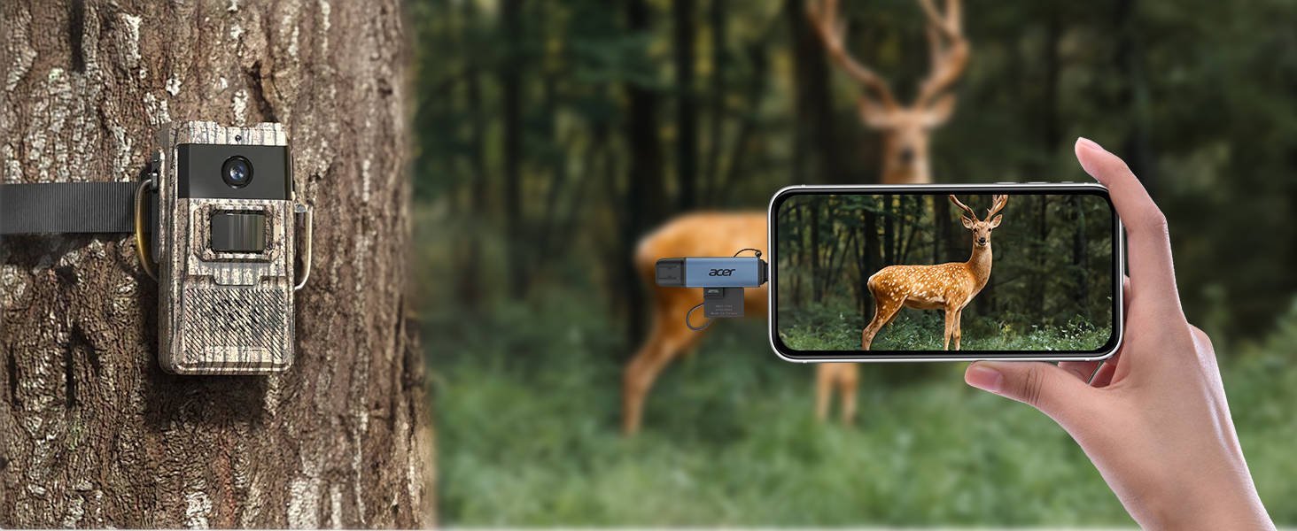 Hand holding smartphone displaying deer through camera lens, with tree-mounted device visible in background forest setting.