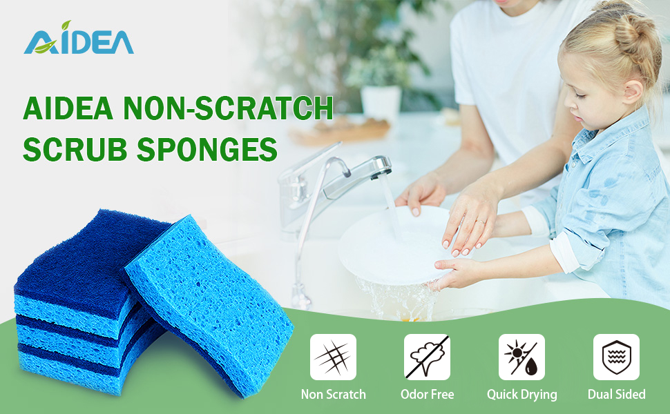 Sponges