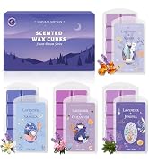 STRN Wax Melts, Lavender Scented Wax Melt for Wax Warmers, 4 Scents of Lavender & Amber, Vanilla,...
