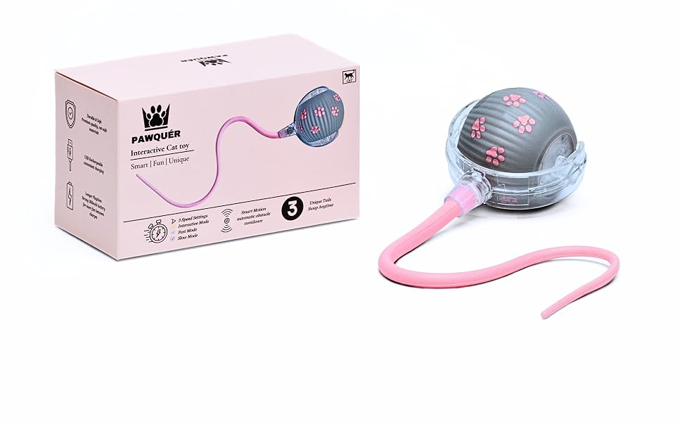 Premium Interactive Toy for Curious Cats