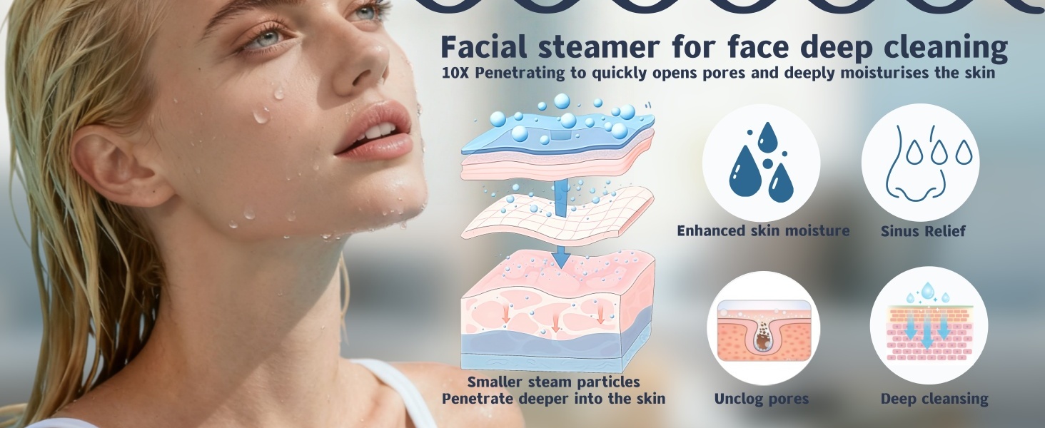 face steamer