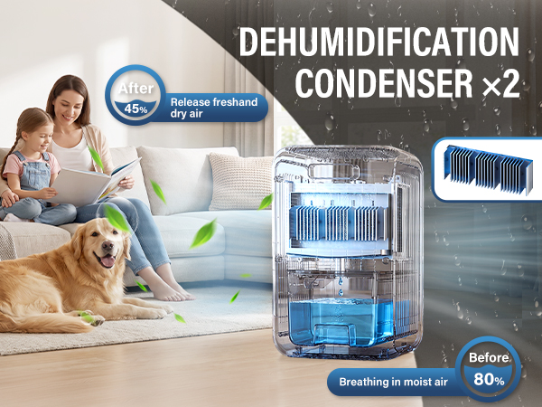 dehumidifier