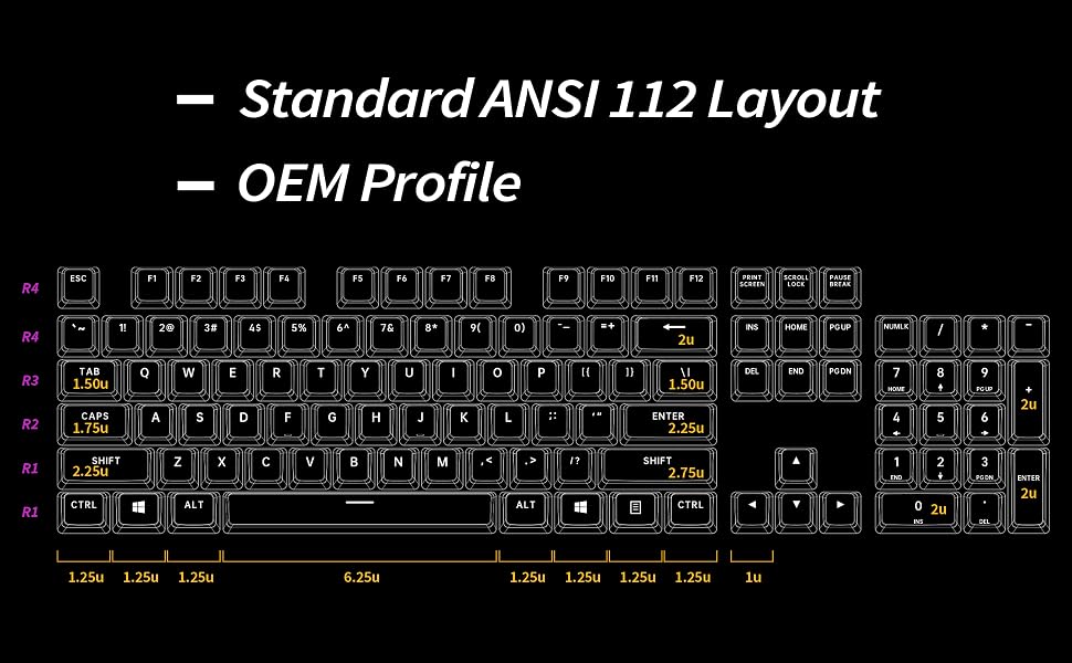 layout