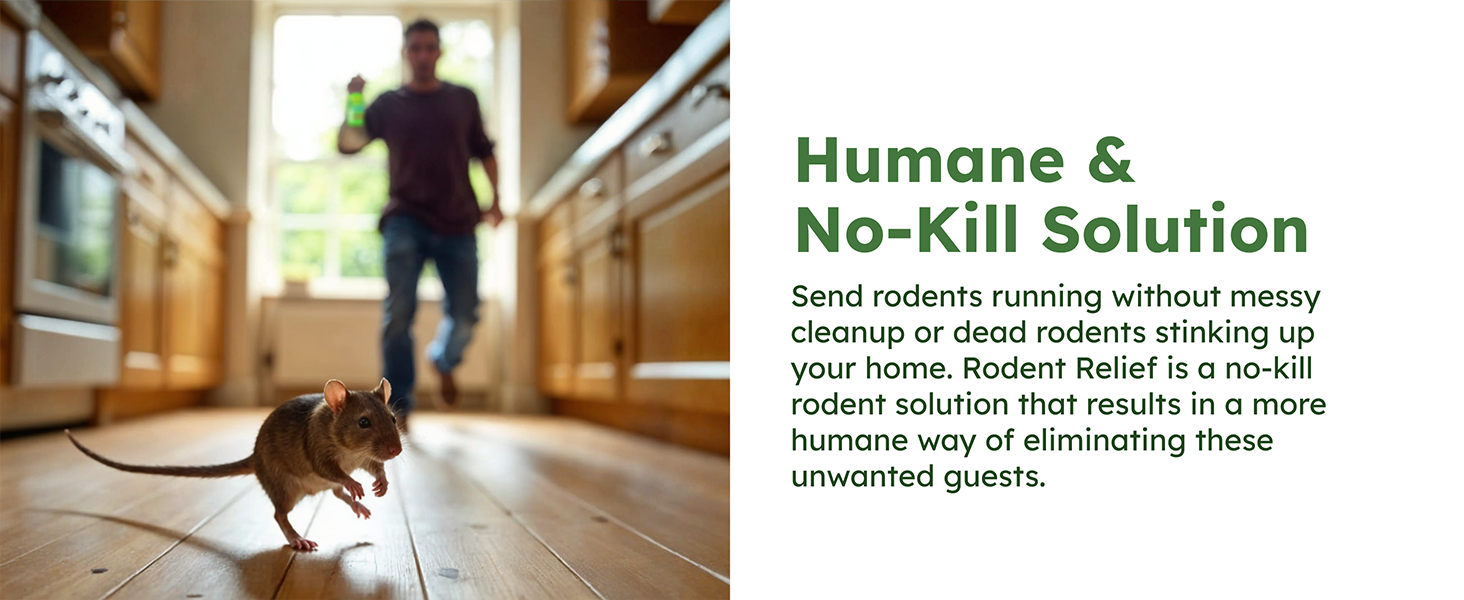 humans no-kill solution