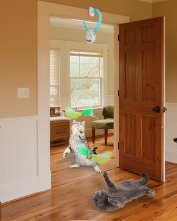 hanging cat toy