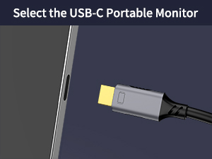 displayport to usb c