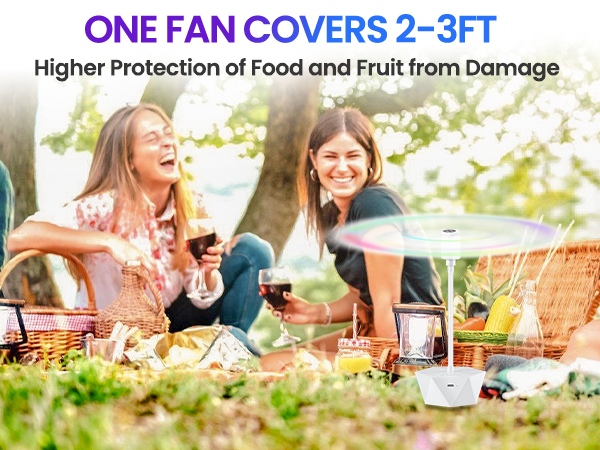 fly fan for outdoor table