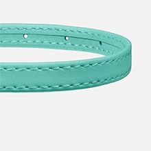 a collar