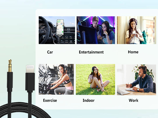 iphone aux cord