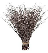 60Pcs Real Dried Birch Twigs Branches - 17” Natural Decorative Birch Branches for Easter Vases, B...