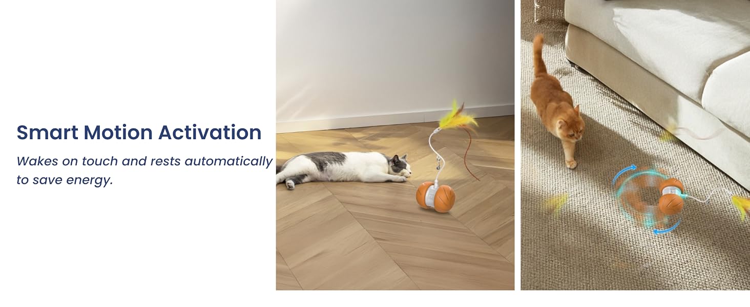 Motion activated cat toy