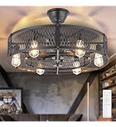 Depuley Outdoor Ceiling Fan with Light: 26" Caged Ceiling Fans with Remote Control for Patio Kitc...