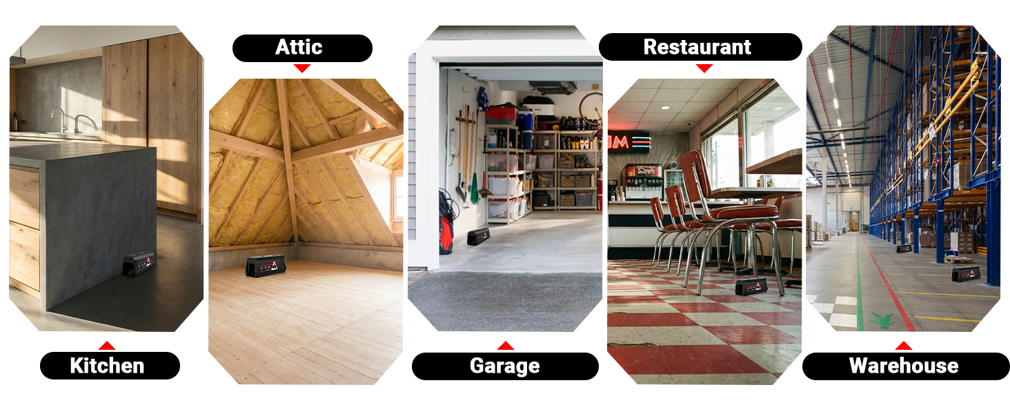 Kitchen?Attic?Garage?Restaurant?Warehouse