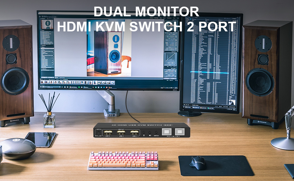 kvm switch dual monitor