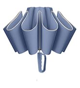 Inverted folding umbrella for travel