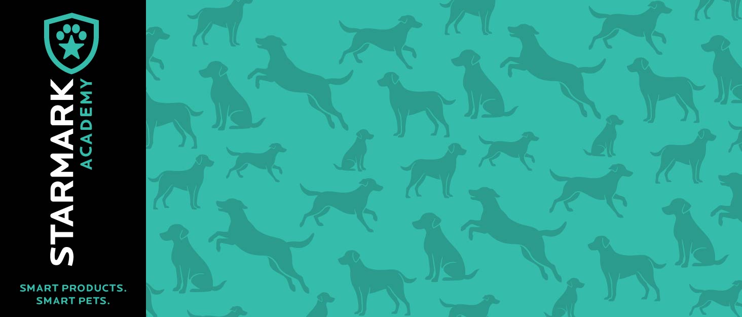 Starmark logo on black background on top of field of dog silhouettes