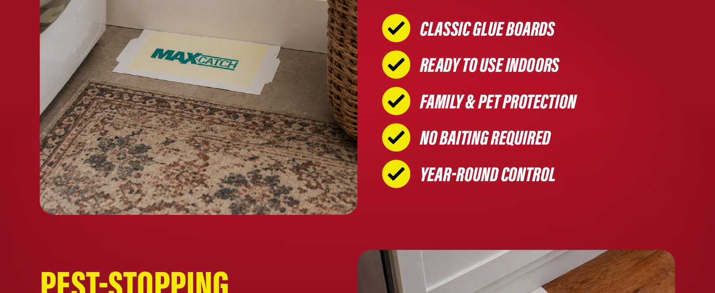 Max-Catch glue board features indoor pest control, no baiting required and year-round use