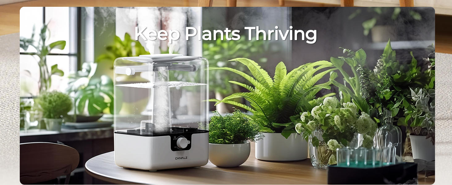 humidifier for bedroom