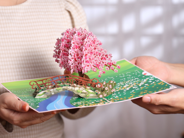 cherry blossom pop up card
