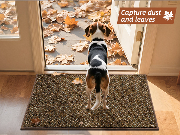 dirt trapper entry mat