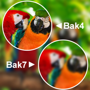 lightweight compact binoculars