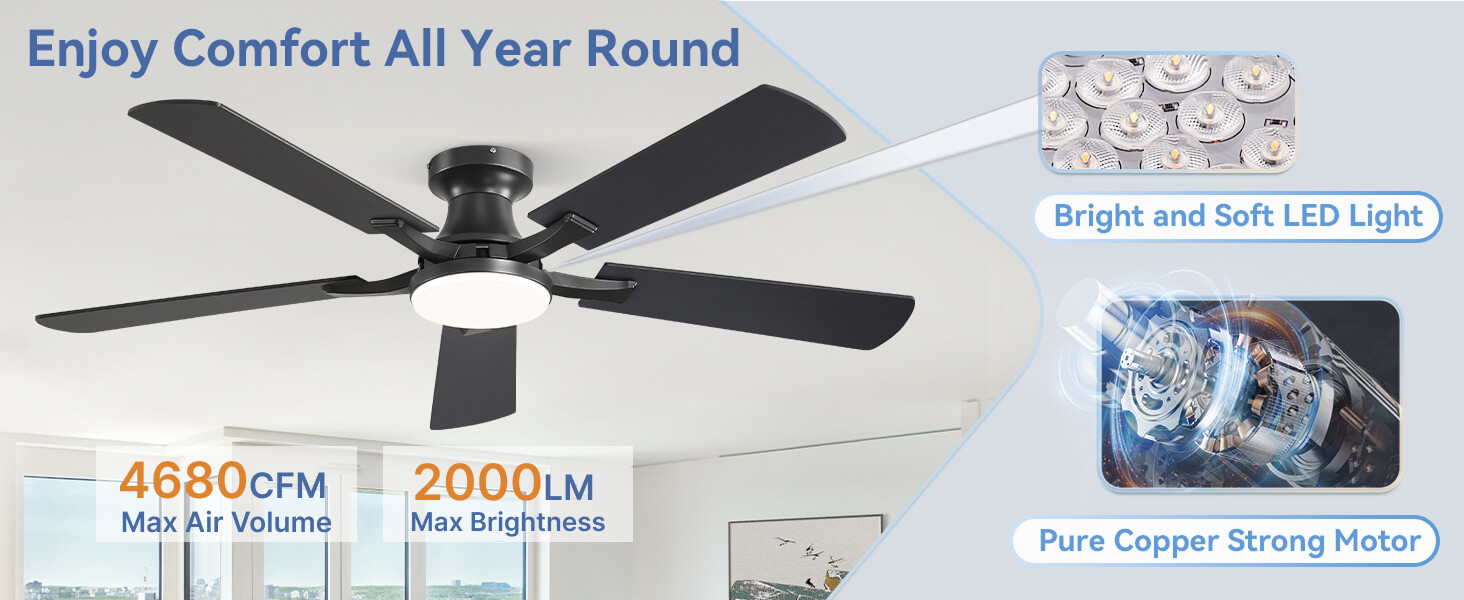 ceiling fan