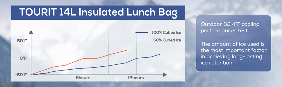 Lunch Bag