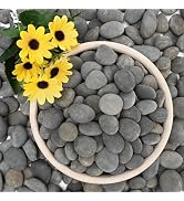 NUPICK 3lb Mexican Beach Pebbles, 1" Black River Rocks for Landscaping, Smooth Garden Rocks for O...