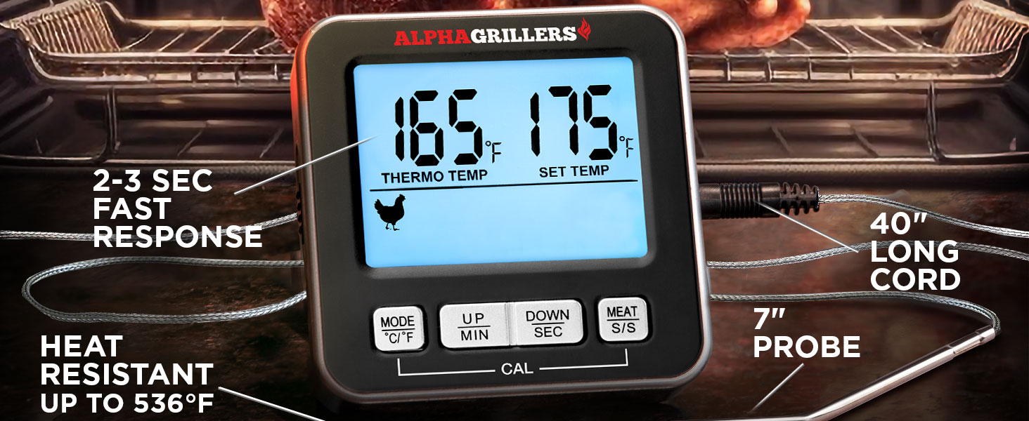 Leave in Thermometer