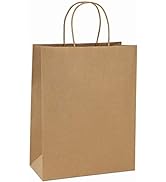 BagDream 10x5x13 25Pcs Brown Kraft Paper Bags with Handles Shopping Bags, Merchandise, Retail Bag...