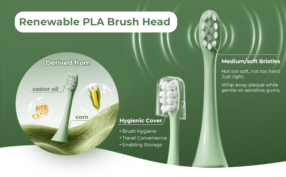 plant based toothbrush sonic