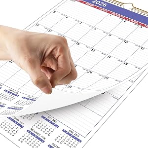 2025 wall calendar