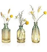 Joeyan Small Embossed Glass Bud Vase Set of 3,Green and Amber Colored Rustic Decorative Vase for ...