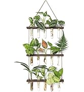 Mkono Plant Propagation Tubes, 3 Tiered Wall Hanging Terrarium with Wooden Stand Mini Test Tube F...