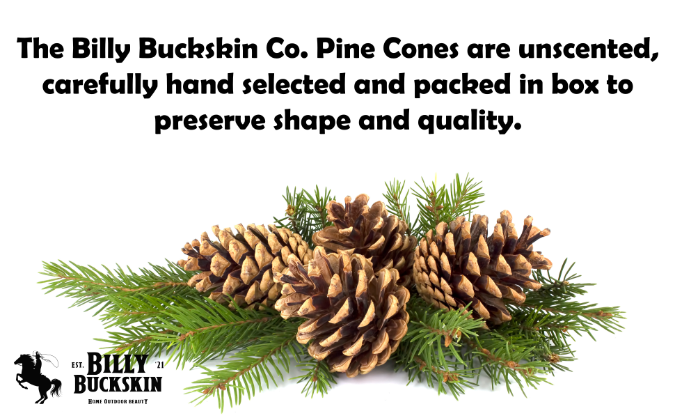 pine cone