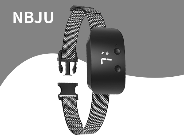 bark collars