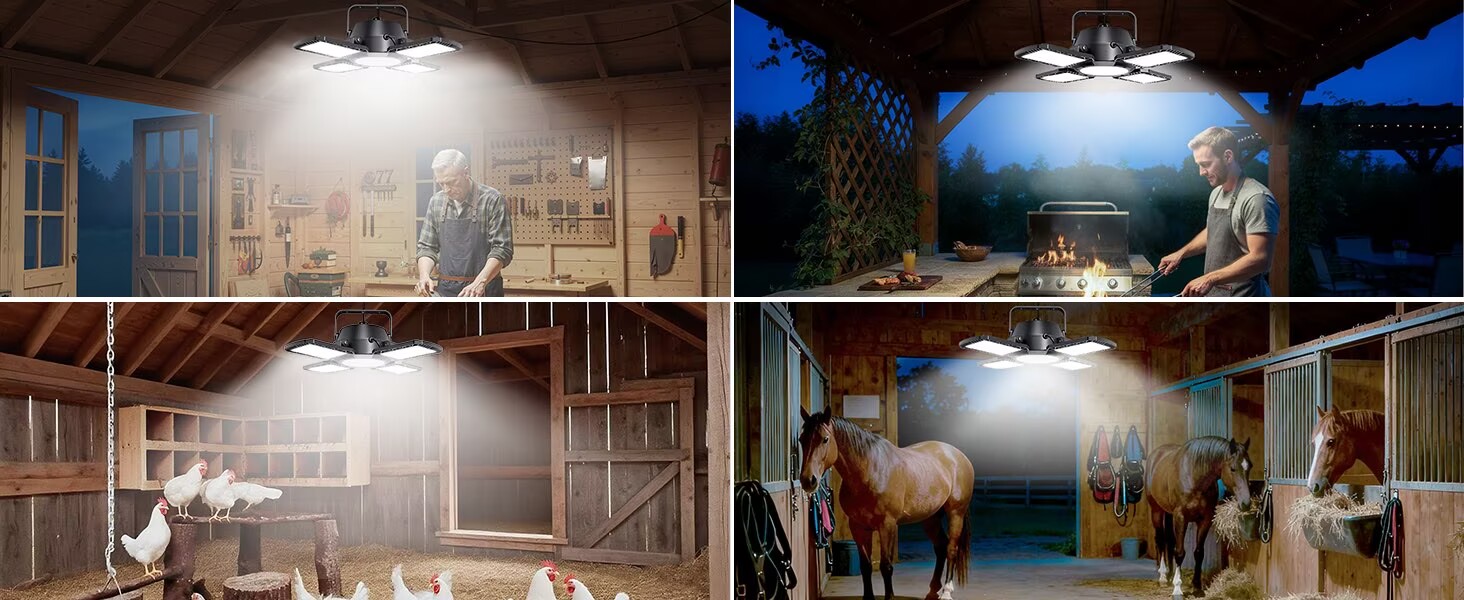 solar shed light