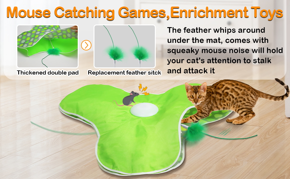 self play cat toy