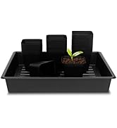 RooTrimmer 4 inch (10CM) Square Nursery Pots 60pcs, Sturdy Seedlings Trays 5 Pcs, Seeds Starter G...